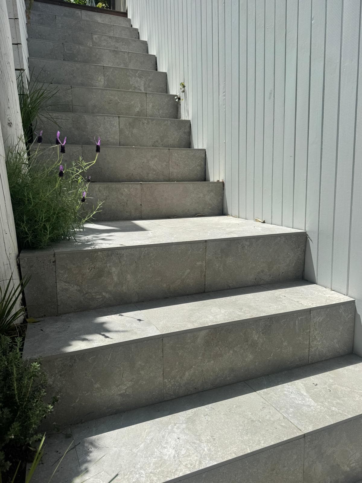 Freemans Bay Staircase & Fence